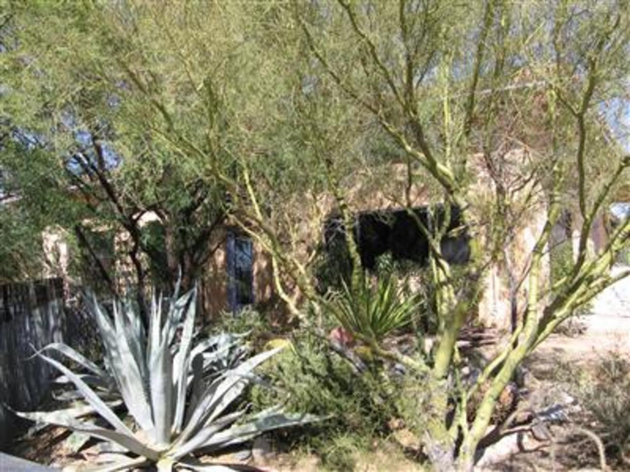 12241 West Fort Lowell Road Tucson, AZ 85743 - Photo 8 of 8