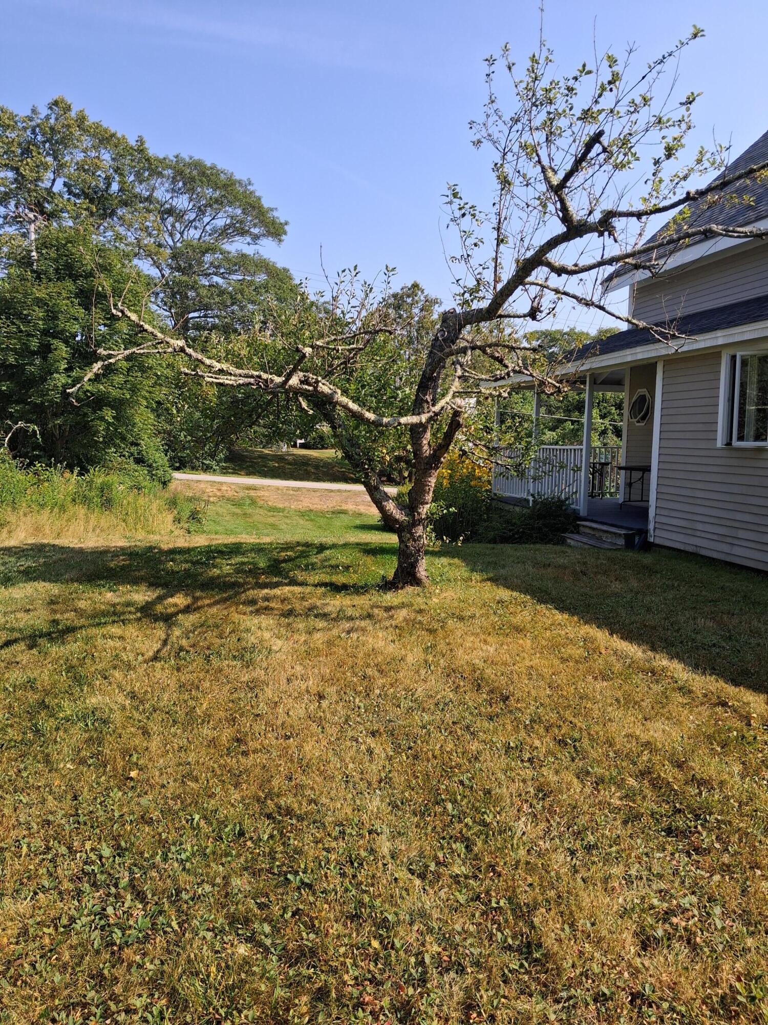 5 Penniman Road Bristol, ME 04554 - Photo 49 of 72 20250811_094132