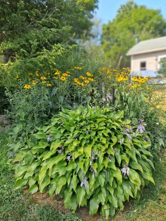 $545,000 | 5 Penniman Road, Bristol, ME 04554