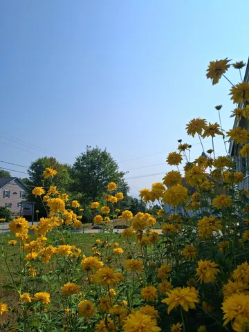 $545,000 | 5 Penniman Road, Bristol, ME 04554