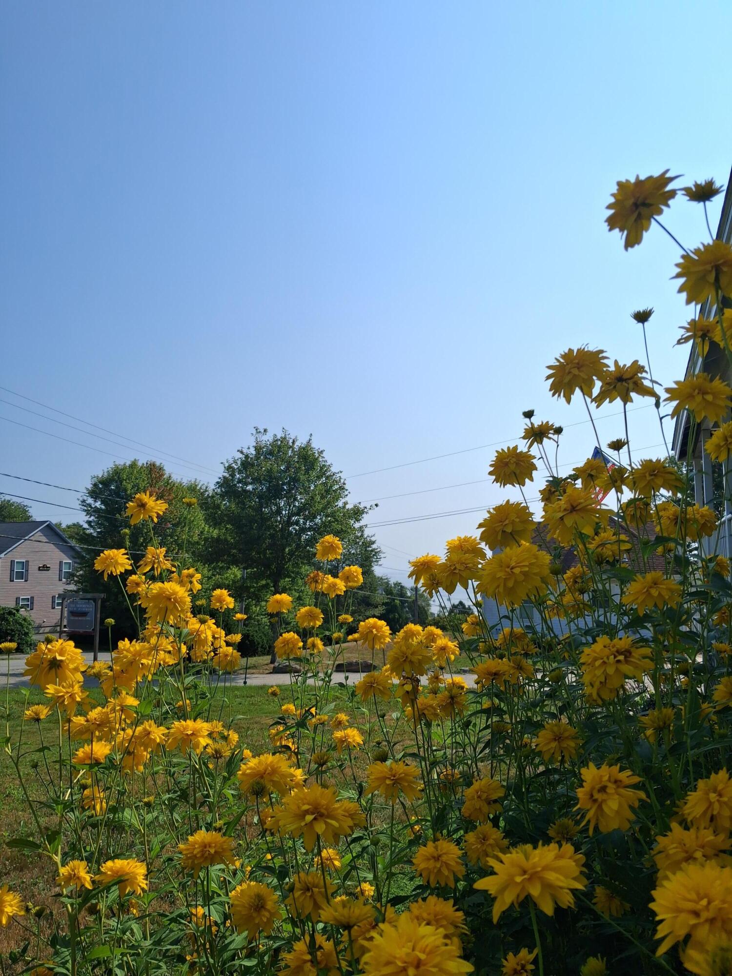 5 Penniman Road Bristol, ME 04554 - Photo 60 of 72 20250811_094416