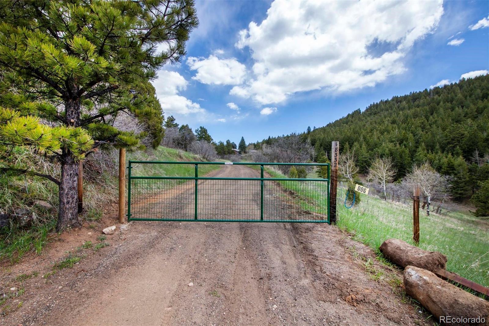 a view of backyard with green space