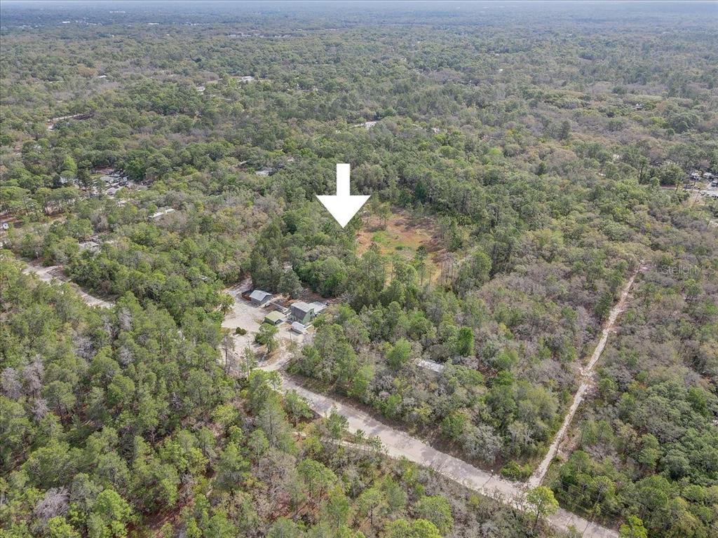 17528 Coyote Road Hudson, FL 34667 - Photo 39 of 60