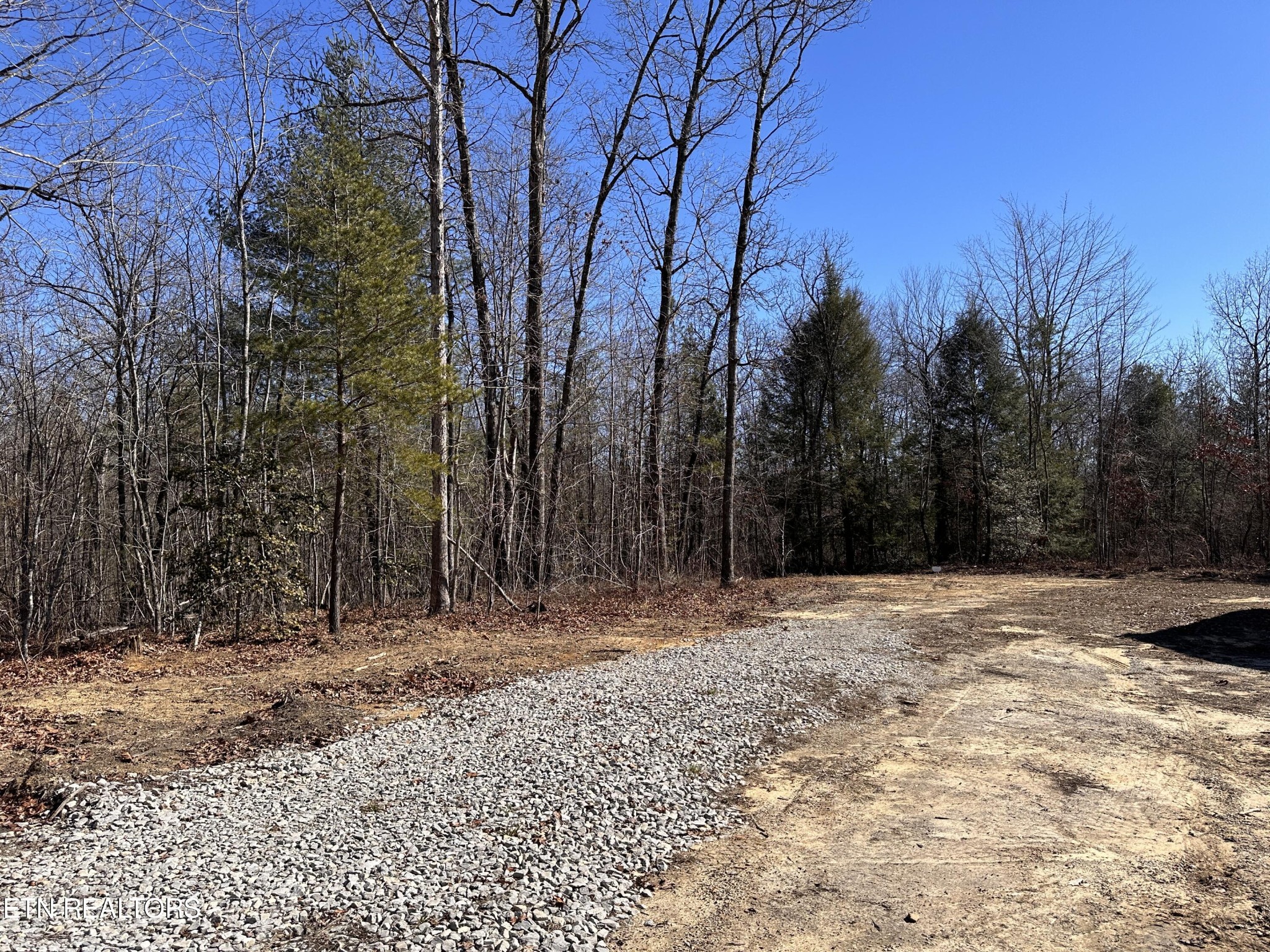 788 Remington Road Jamestown, TN 38556 - Photo 3 of 17 a view of dirt yard with a large tree