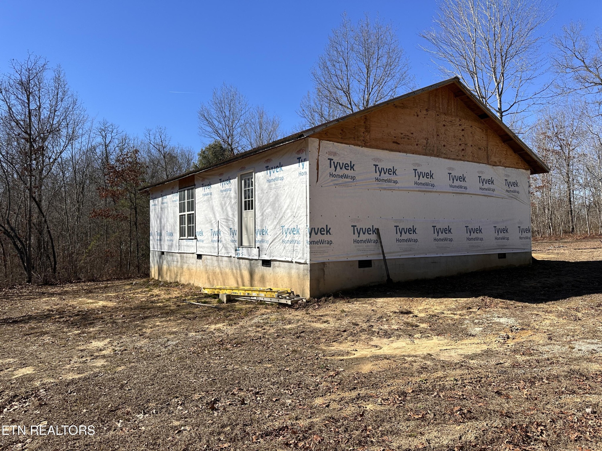 788 Remington Road Jamestown, TN 38556 - Photo 4 of 17 a view of a house with backyard and a trees
