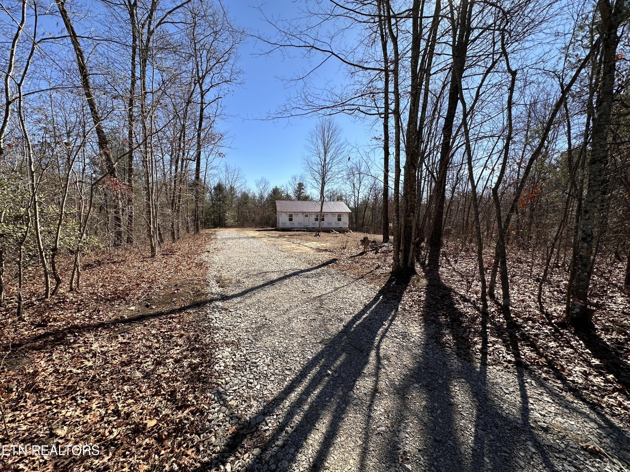 788 Remington Road Jamestown, TN 38556 - Photo 6 of 17 a view of a yard with trees