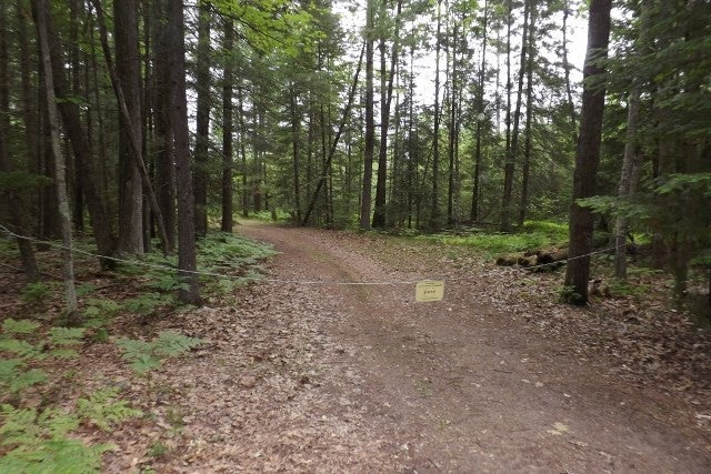 2 Club Road St. Helen, MI 48656 - Photo 2 of 18 Gallery Image 2
