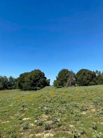 a view of a field with an ocean view