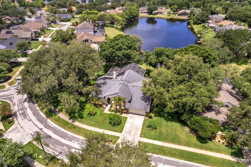 8412 Ridgebrook Circle Odessa, FL 33556 - Photo 76 of 87
