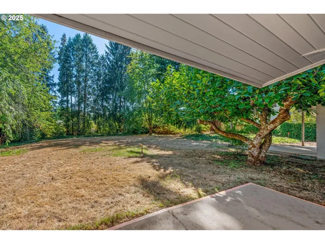 a backyard of a house with large trees
