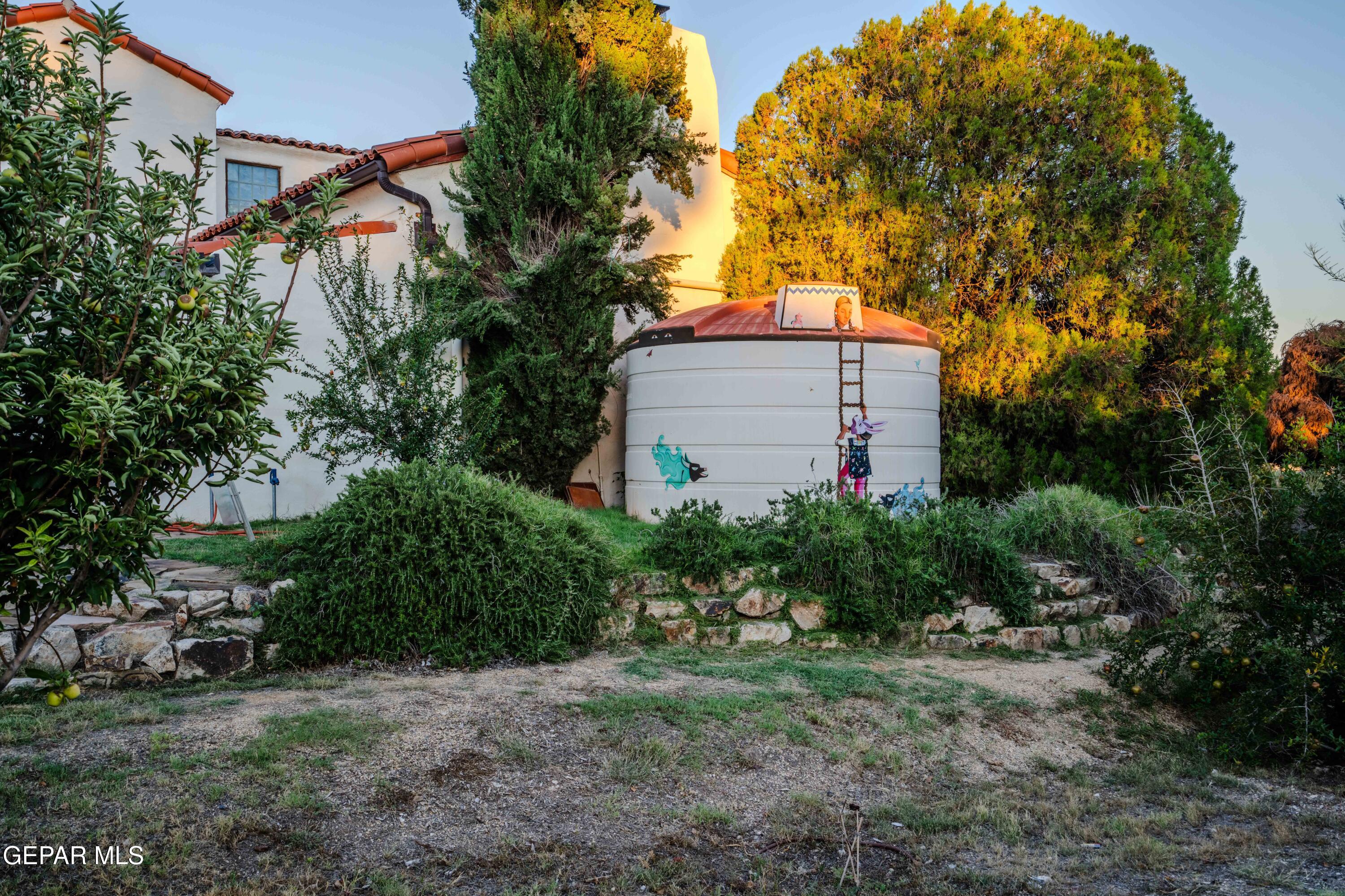 701 Rim Road El Paso, TX 79968 - Photo 6 of 54 a backyard of a house with lots of green space
