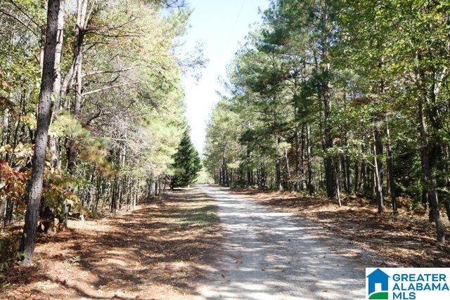 0 County Road 928, Unit 19 Delta, AL 36258 - Photo 14 of 43