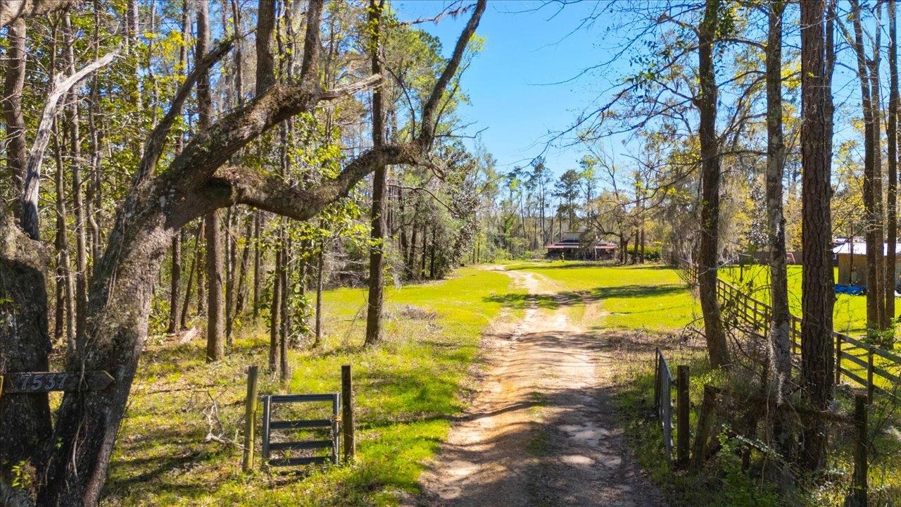 7537 Old St Augustine Road Tallahassee, FL 32311 - Photo 30 of 36