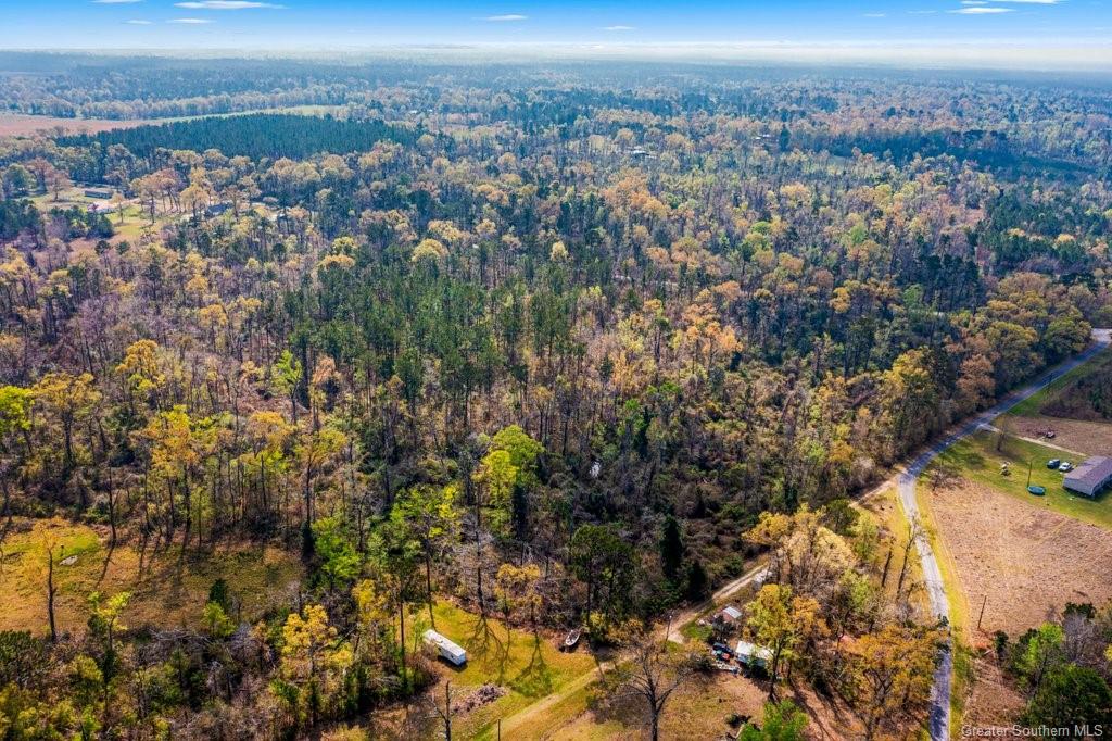 Burnett Town Road Reeves, LA 70658 - Photo 5 of 13