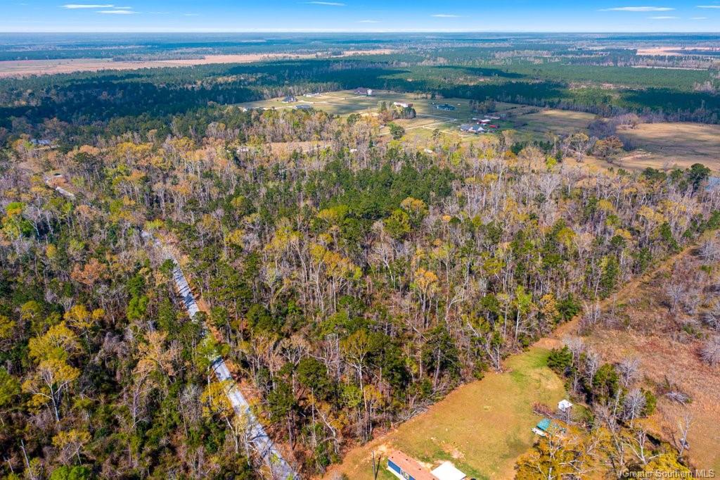 Burnett Town Road Reeves, LA 70658 - Photo 8 of 13