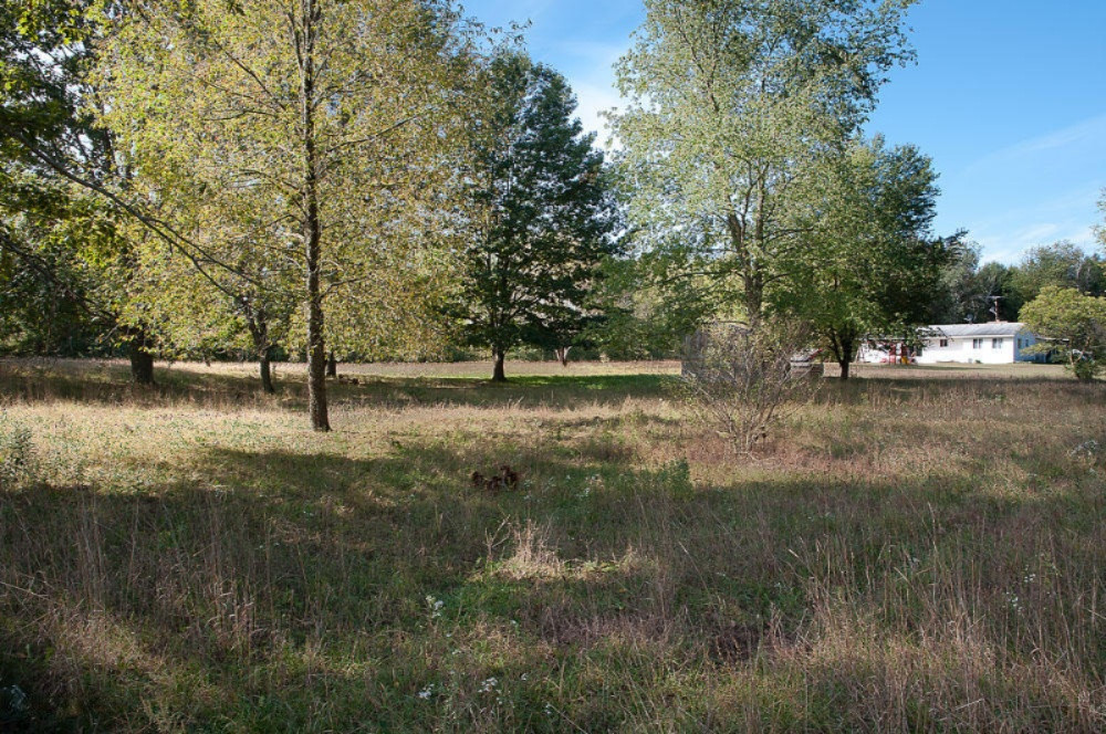 2853 West Kendaville Road Stanton, MI 48888 - Photo 11 of 41 IMGP0034