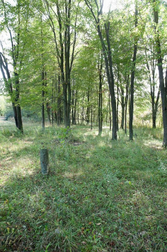2853 West Kendaville Road Stanton, MI 48888 - Photo 16 of 41 IMGP0045