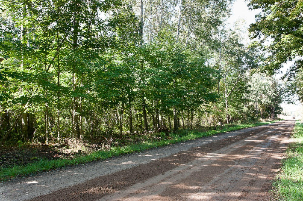 2853 West Kendaville Road Stanton, MI 48888 - Photo 18 of 41 IMGP0048