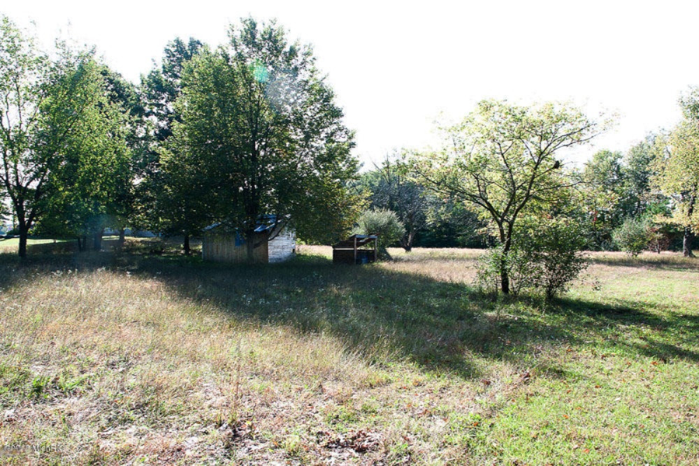 2853 West Kendaville Road Stanton, MI 48888 - Photo 10 of 41 IMGP0033