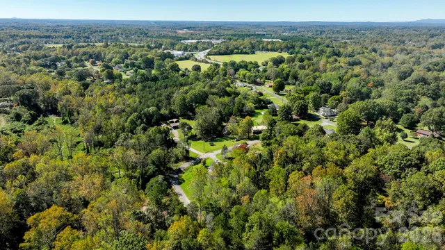 a view of a city with lush green forest