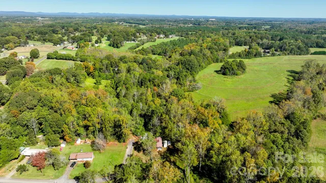 a view of a city with lush green forest