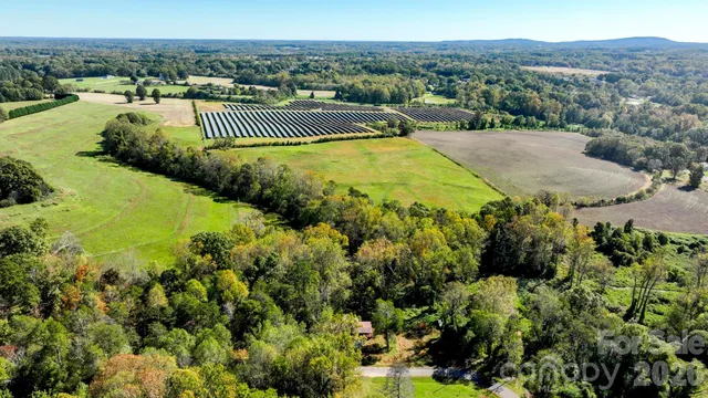 a view of a garden with plants