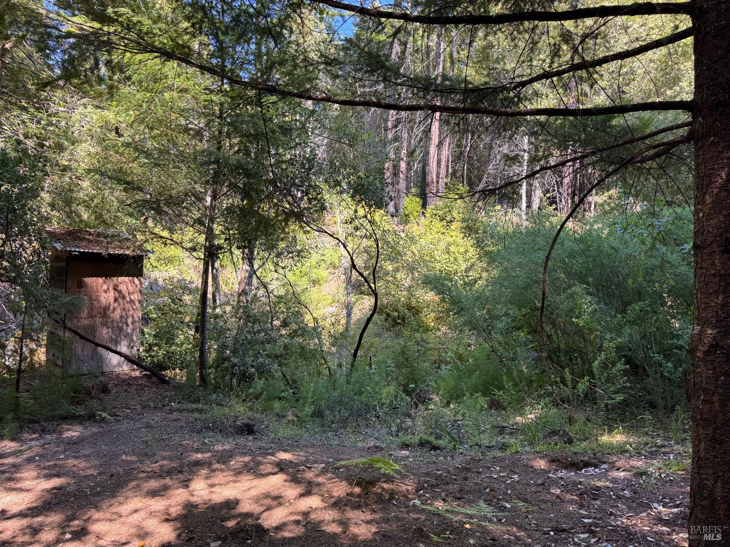 21530 Fort Ross Road Cazadero, CA 95421 - Photo 32 of 56 Camp Dixie at Spring Creek