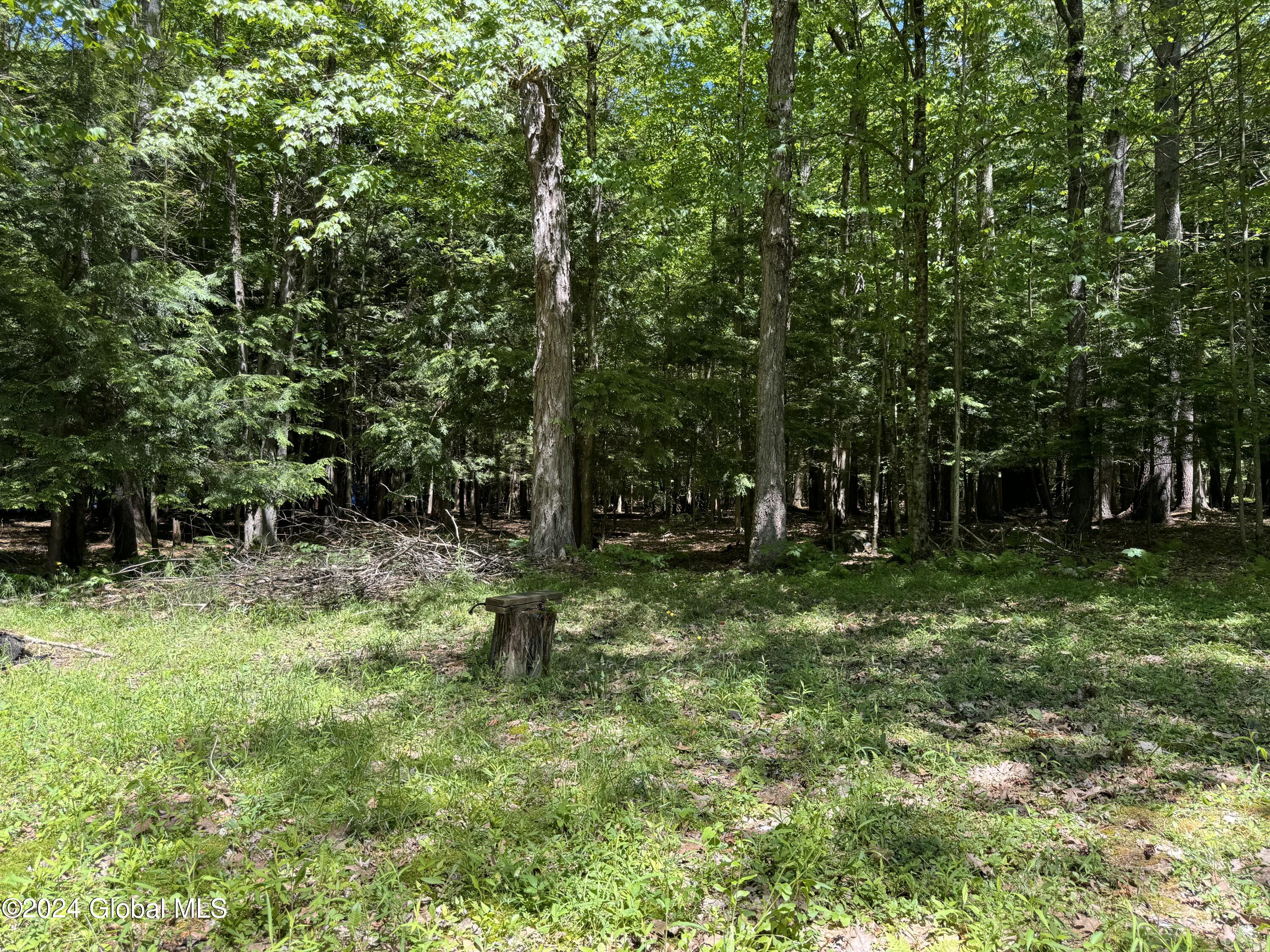 317 Lampman Road Broadalbin, NY 12025 - Photo 4 of 20 IMG_2112