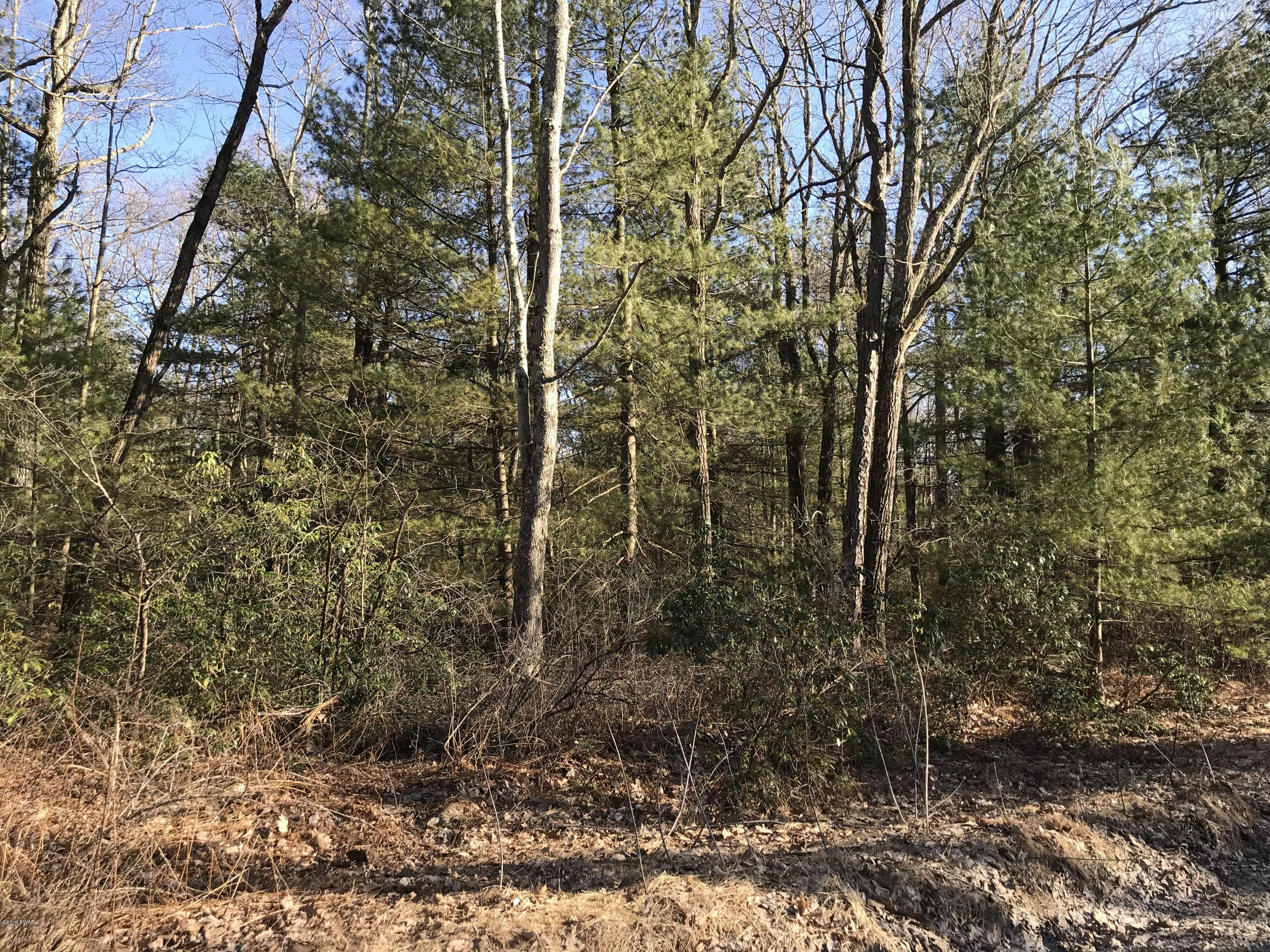 Pine Tree Road Shohola, PA 18458 - Photo 2 of 9