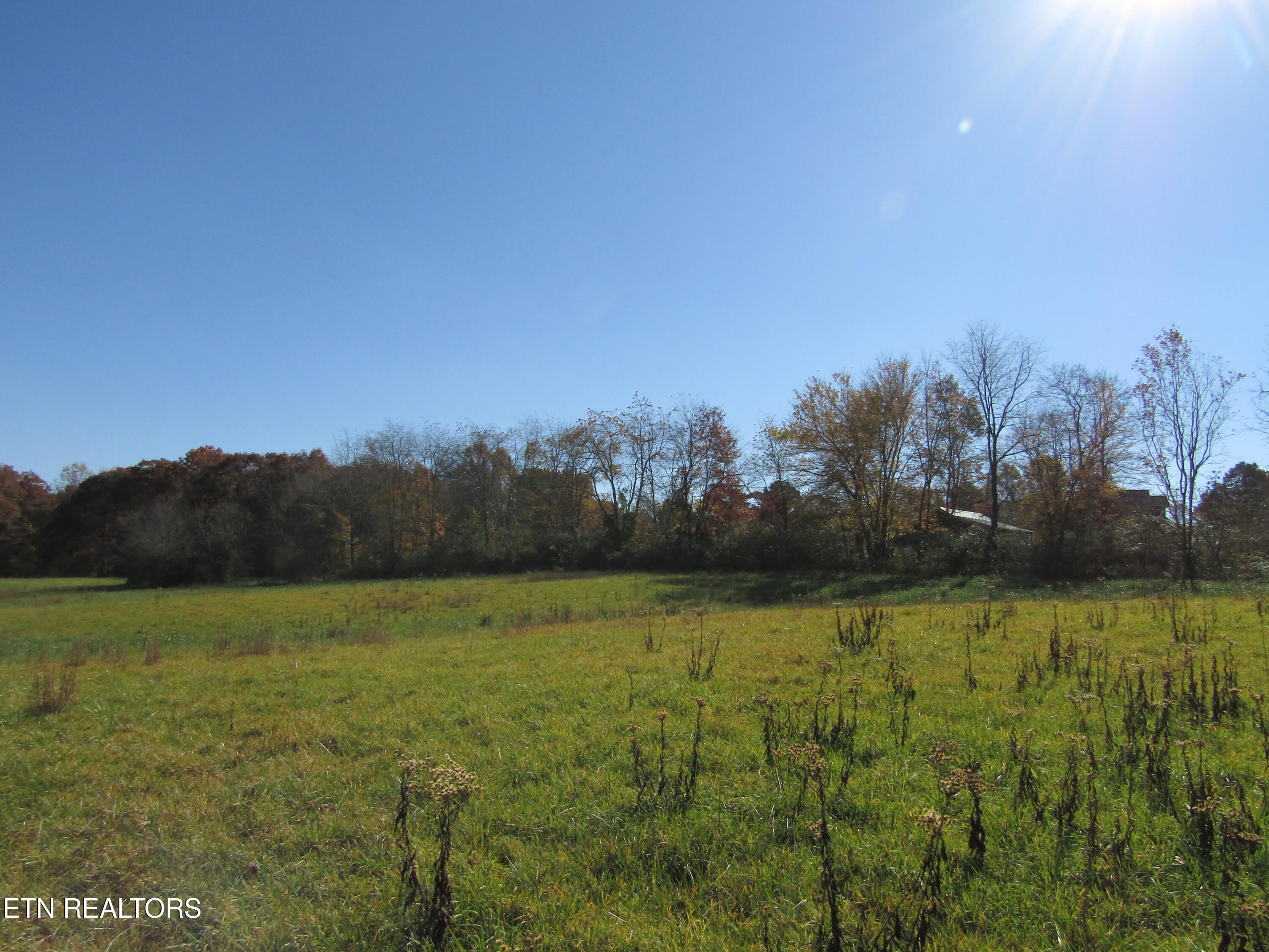 Lot 18 Hack Beaty Road Grimsley, TN 38565 - Photo 11 of 31 IMG_4806
