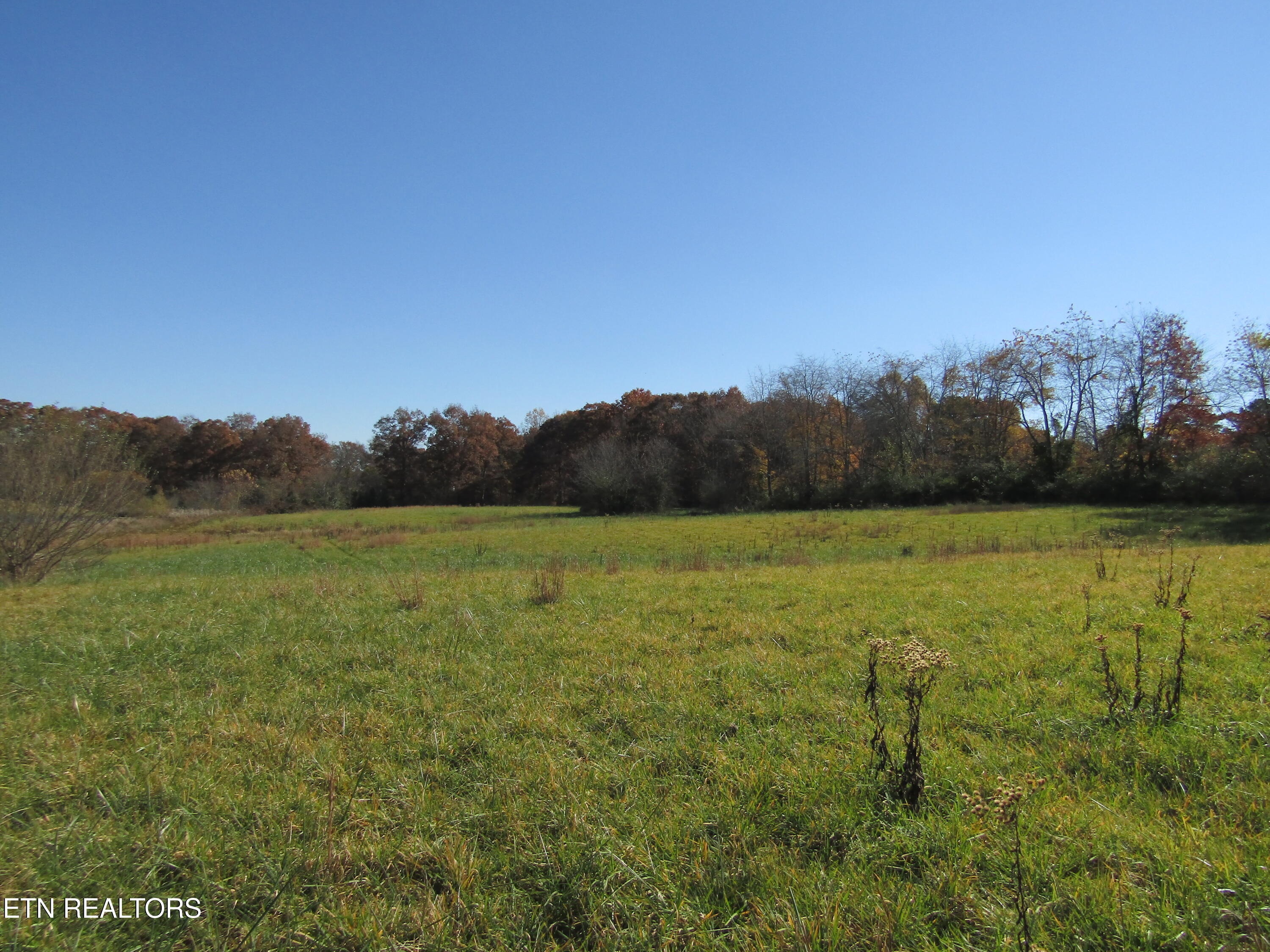 Lot 18 Hack Beaty Road Grimsley, TN 38565 - Photo 12 of 31 IMG_4807