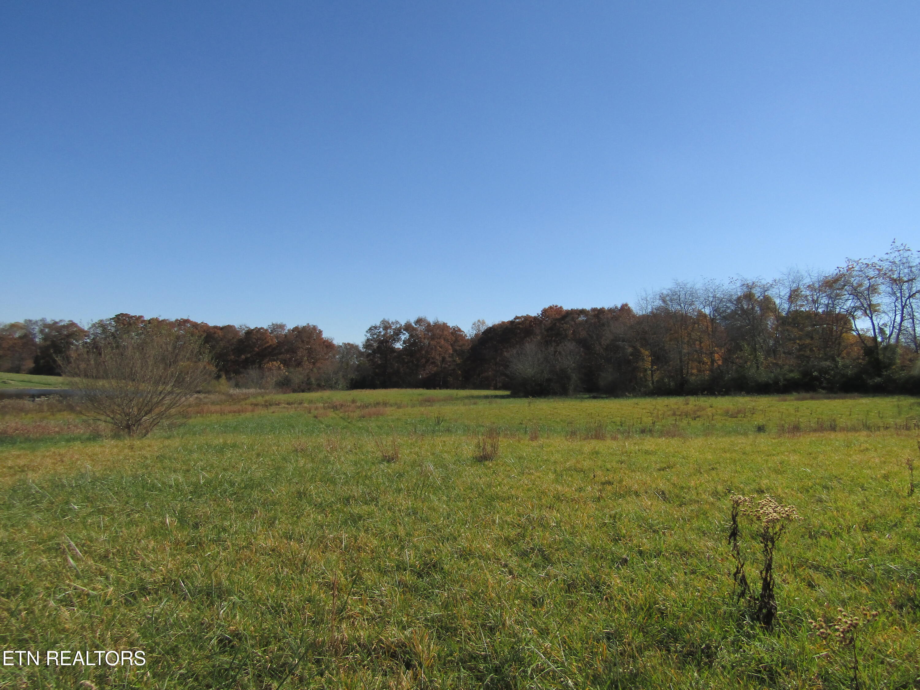 Lot 18 Hack Beaty Road Grimsley, TN 38565 - Photo 13 of 31 IMG_4808
