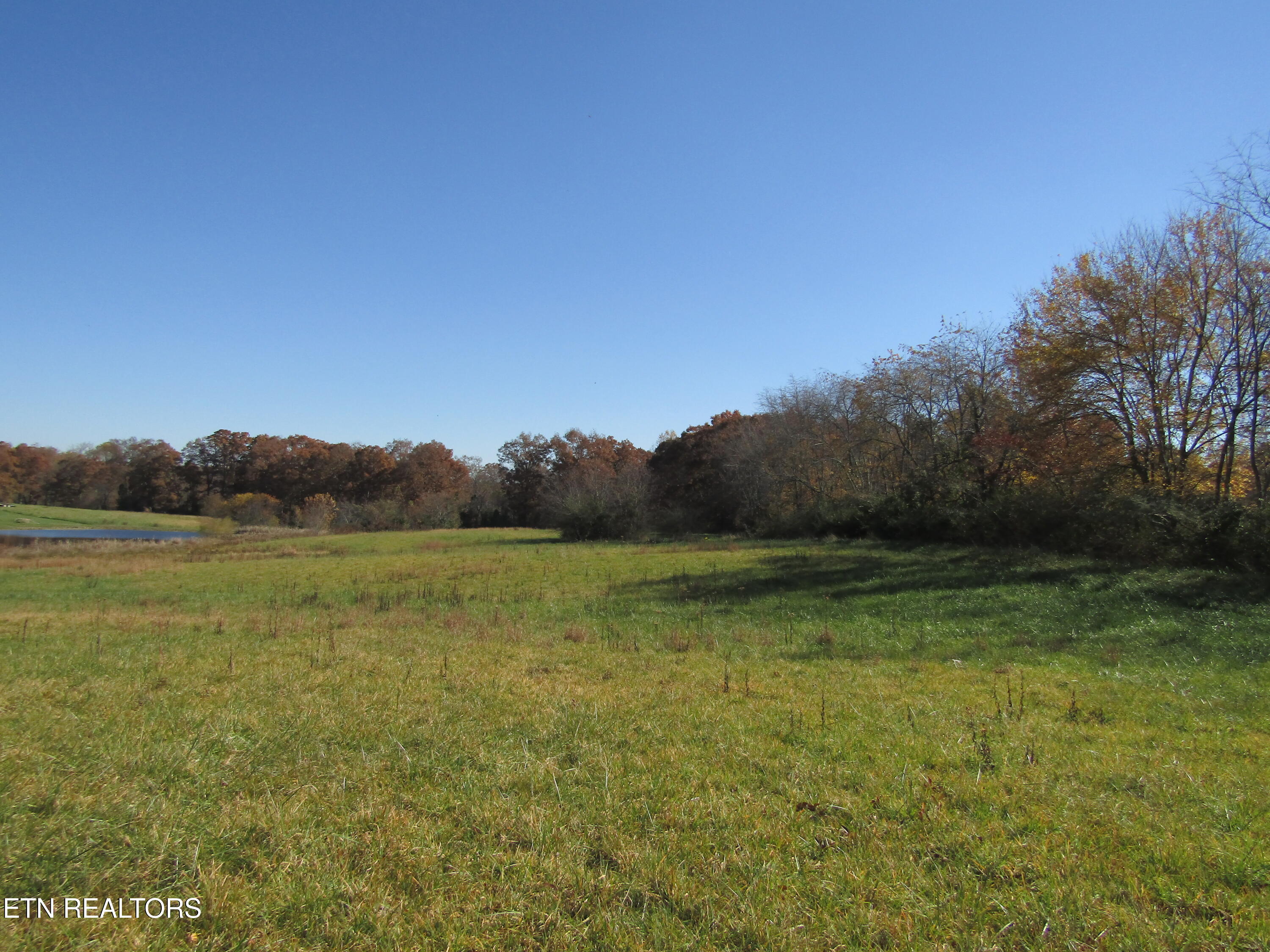Lot 18 Hack Beaty Road Grimsley, TN 38565 - Photo 14 of 31 IMG_4809