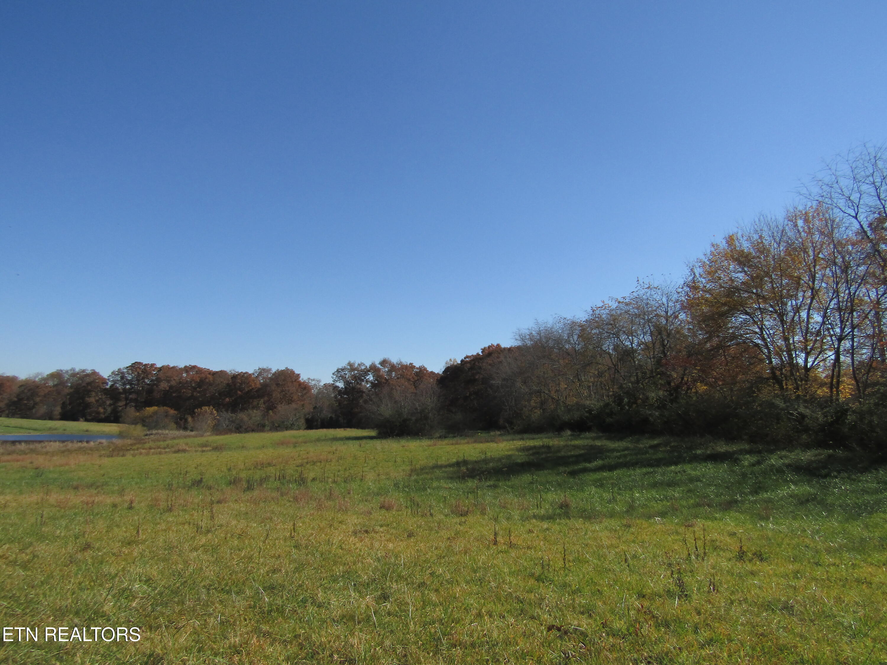 Lot 18 Hack Beaty Road Grimsley, TN 38565 - Photo 15 of 31 IMG_4810