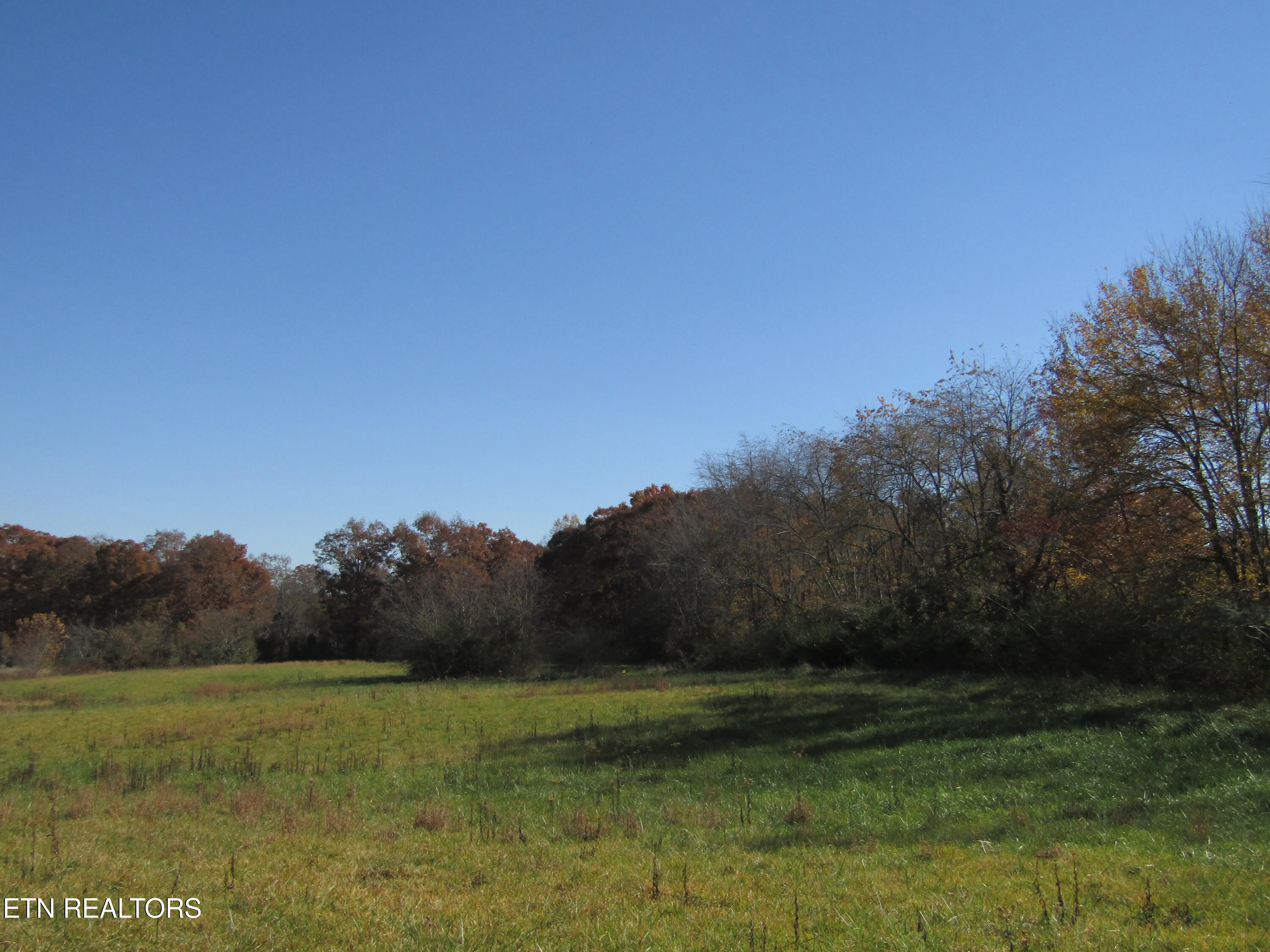Lot 18 Hack Beaty Road Grimsley, TN 38565 - Photo 17 of 31 IMG_4812