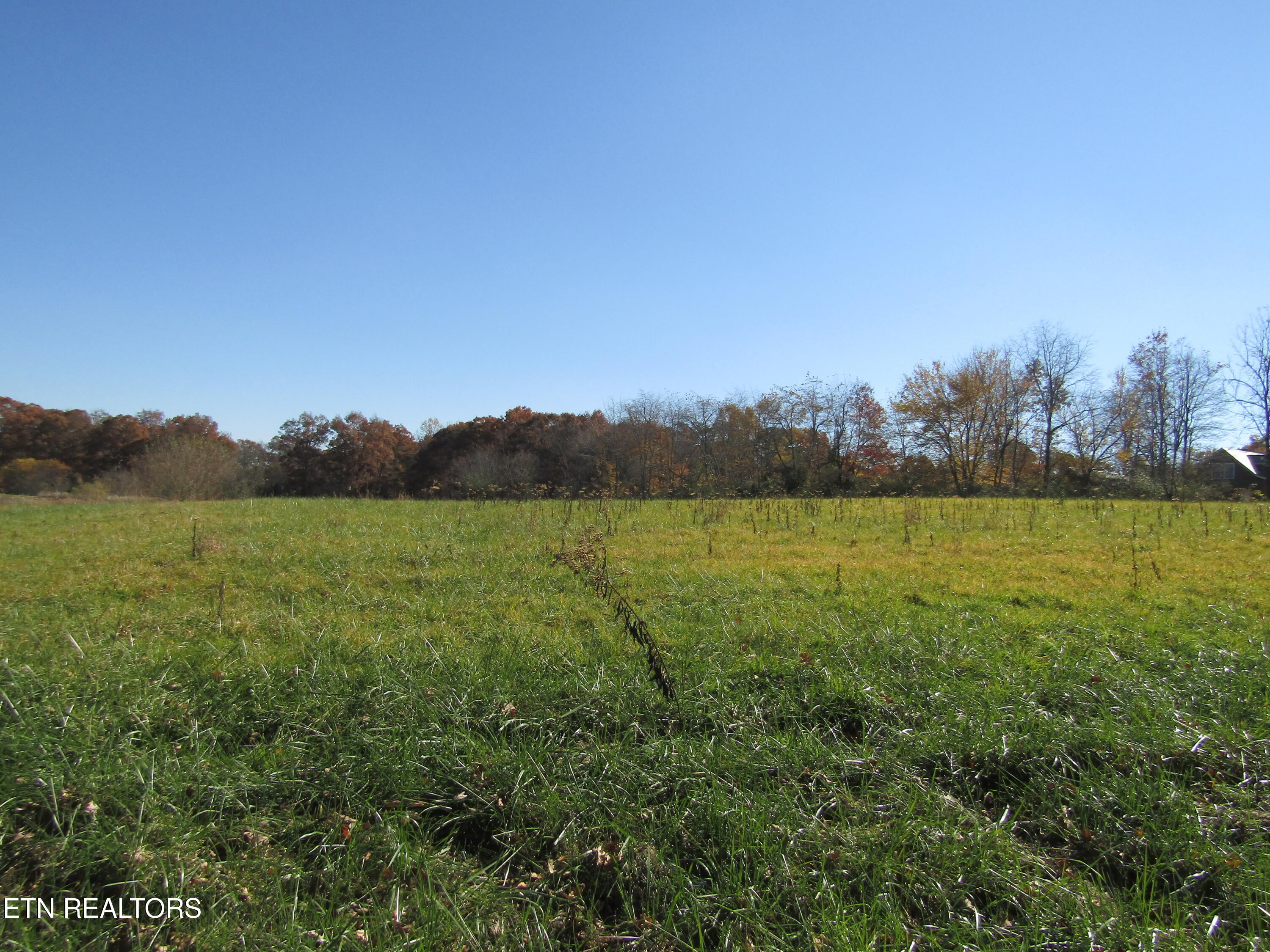 Lot 18 Hack Beaty Road Grimsley, TN 38565 - Photo 19 of 31 IMG_4817