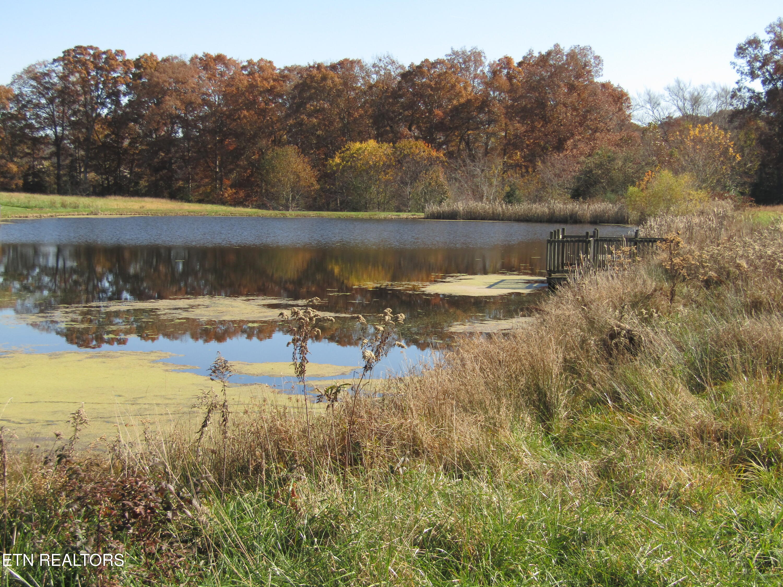 Lot 18 Hack Beaty Road Grimsley, TN 38565 - Photo 22 of 31 IMG_4803
