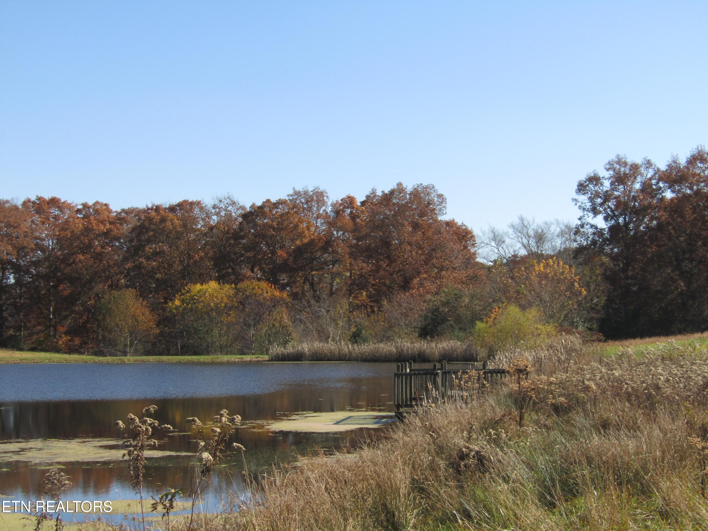Lot 18 Hack Beaty Road Grimsley, TN 38565 - Photo 23 of 31 IMG_4797