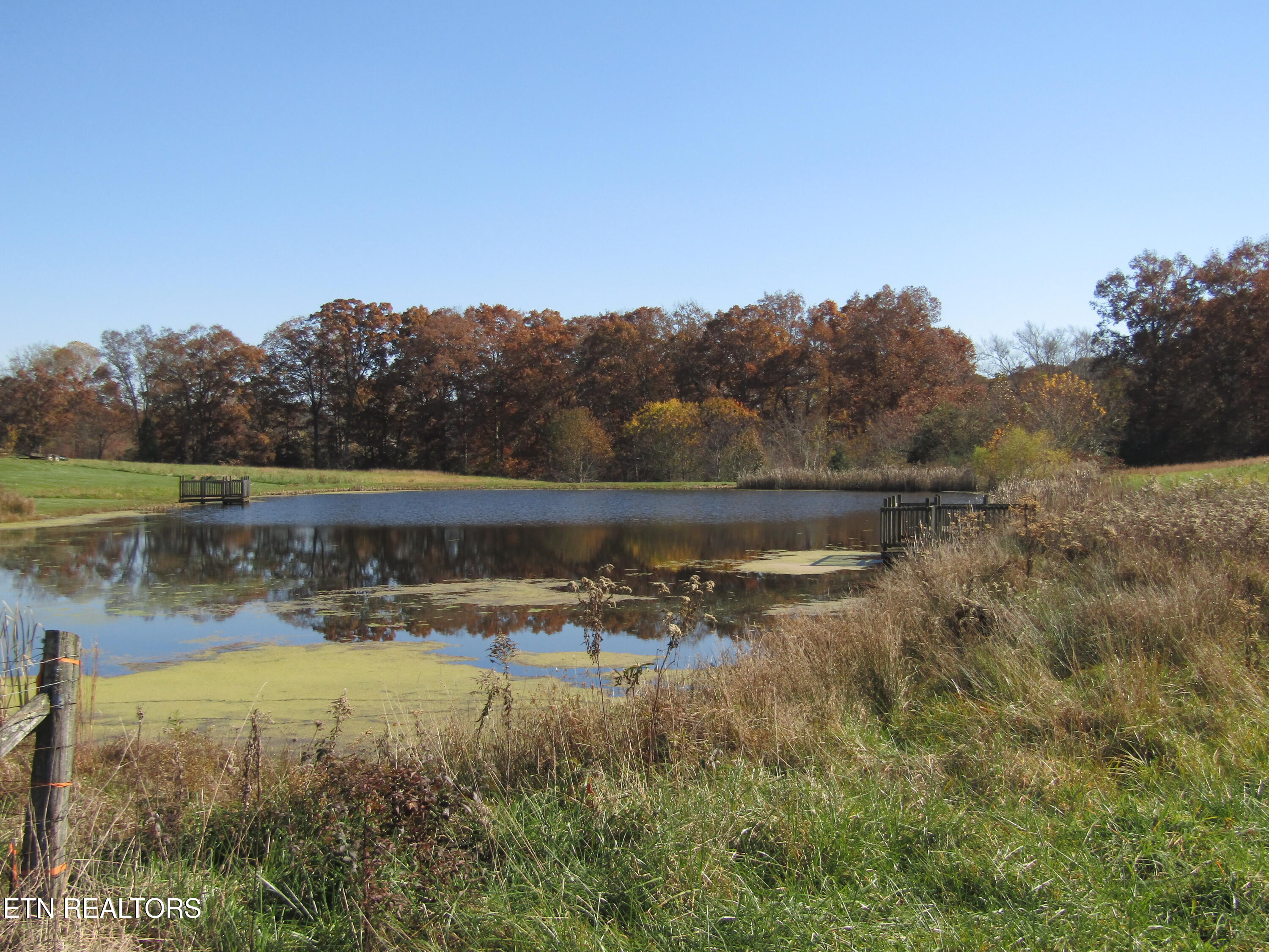 Lot 18 Hack Beaty Road Grimsley, TN 38565 - Photo 24 of 31 IMG_4802