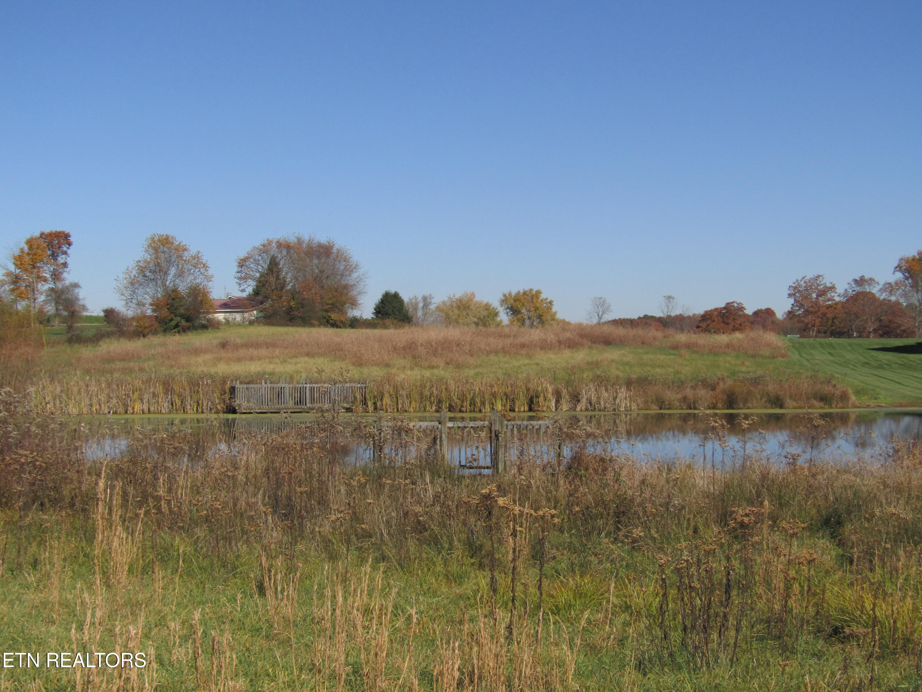 Lot 18 Hack Beaty Road Grimsley, TN 38565 - Photo 25 of 31 IMG_4793