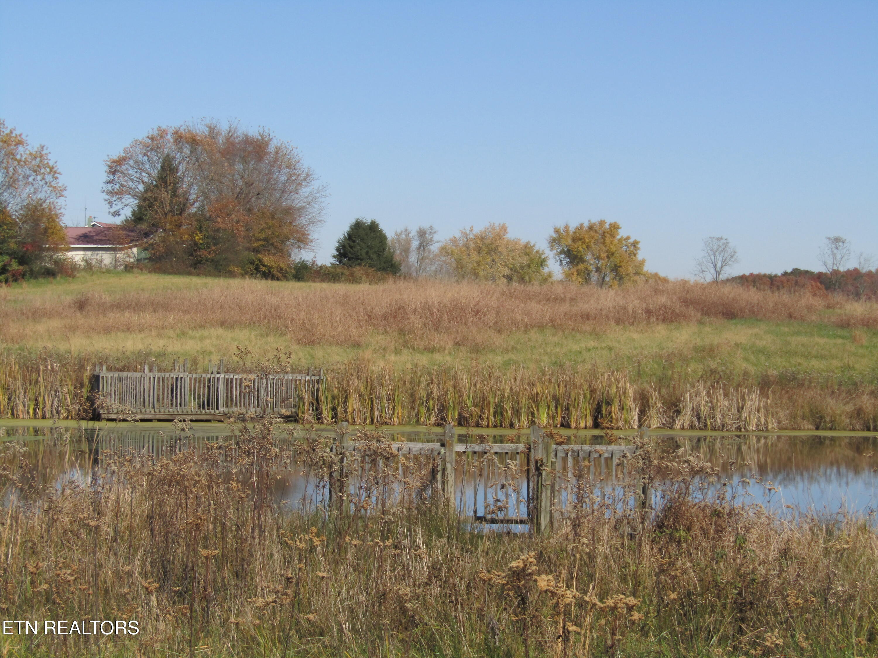 Lot 18 Hack Beaty Road Grimsley, TN 38565 - Photo 26 of 31 IMG_4792