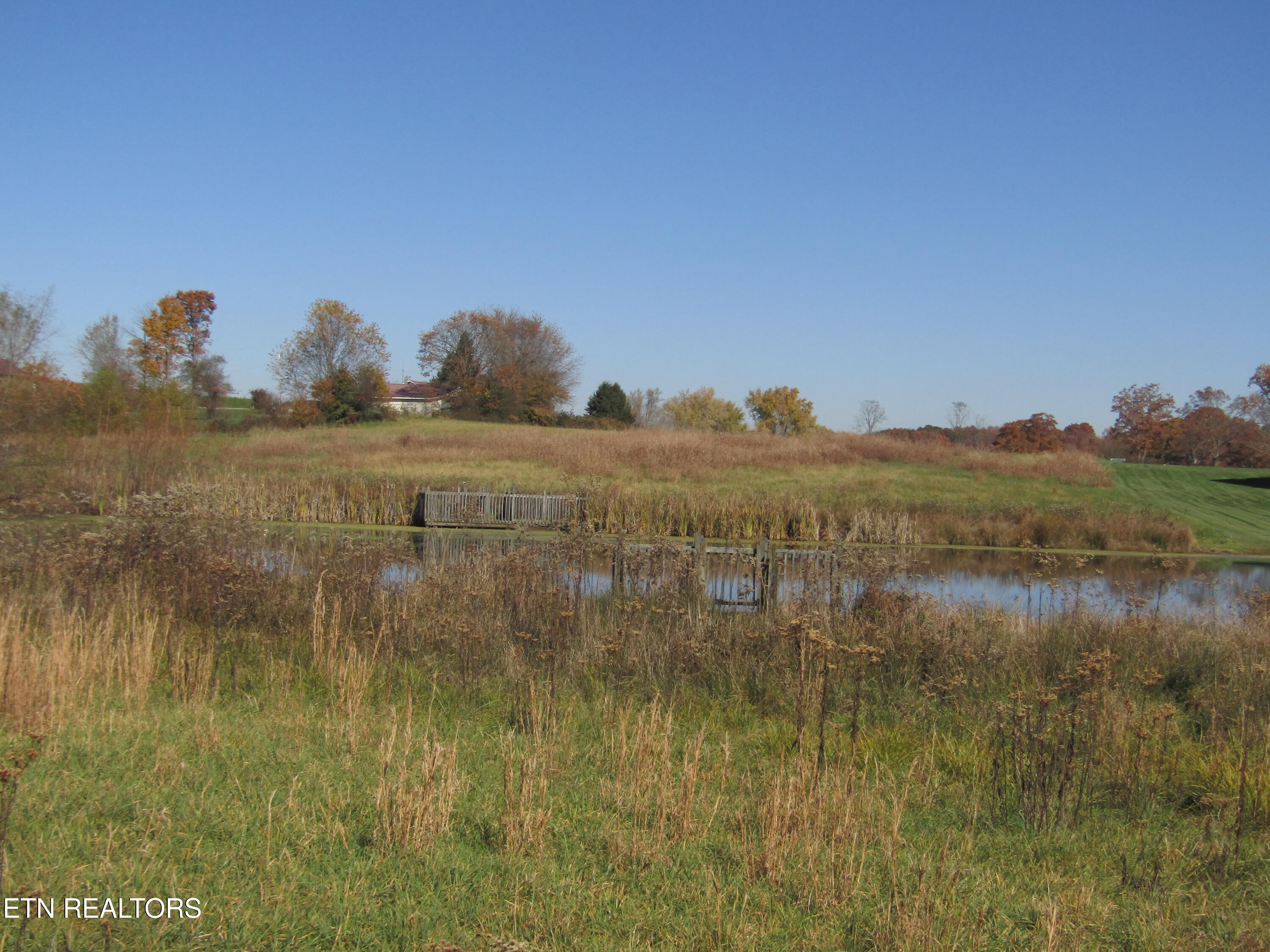 Lot 18 Hack Beaty Road Grimsley, TN 38565 - Photo 27 of 31 IMG_4791
