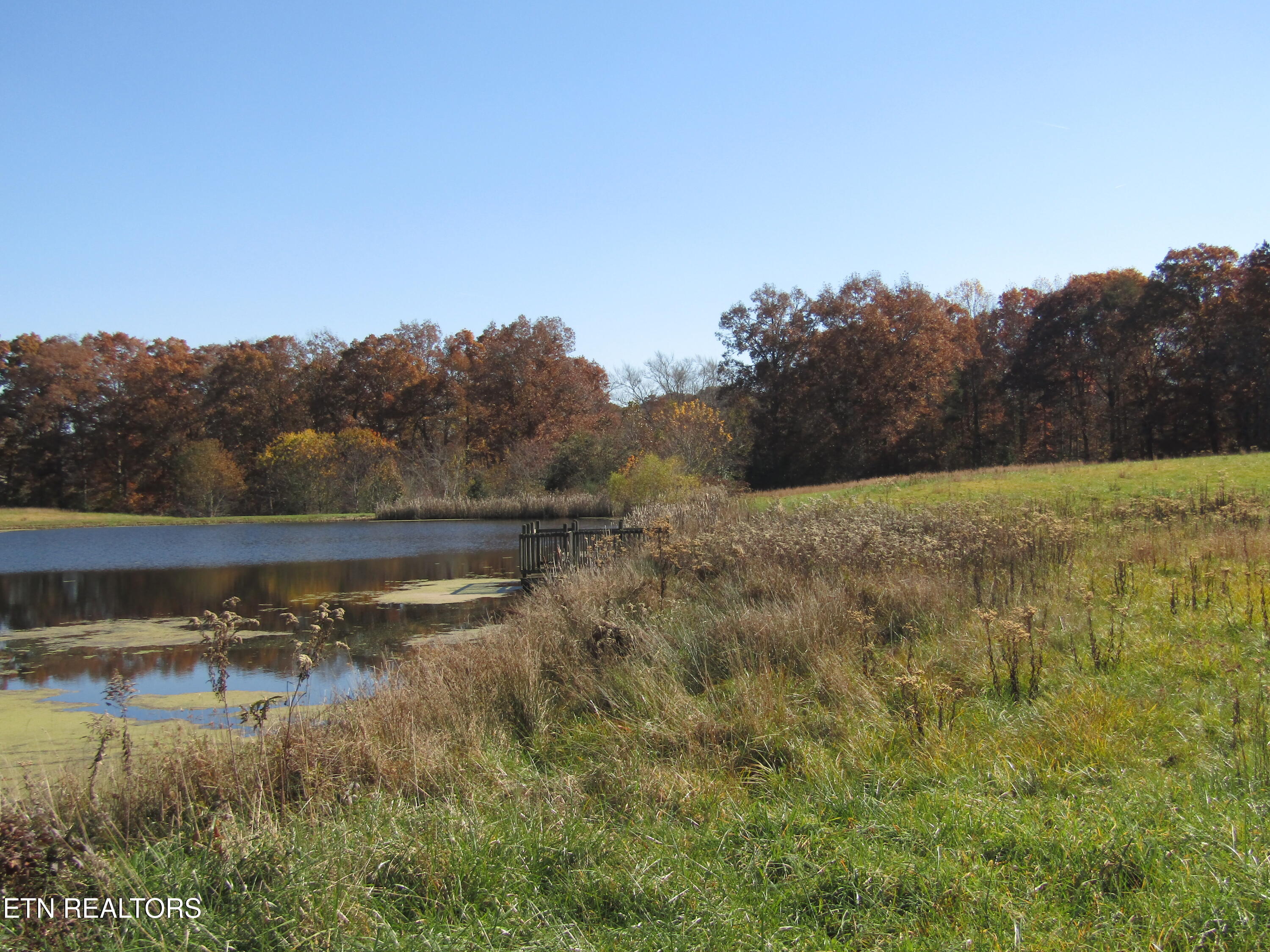 Lot 18 Hack Beaty Road Grimsley, TN 38565 - Photo 28 of 31 IMG_4800