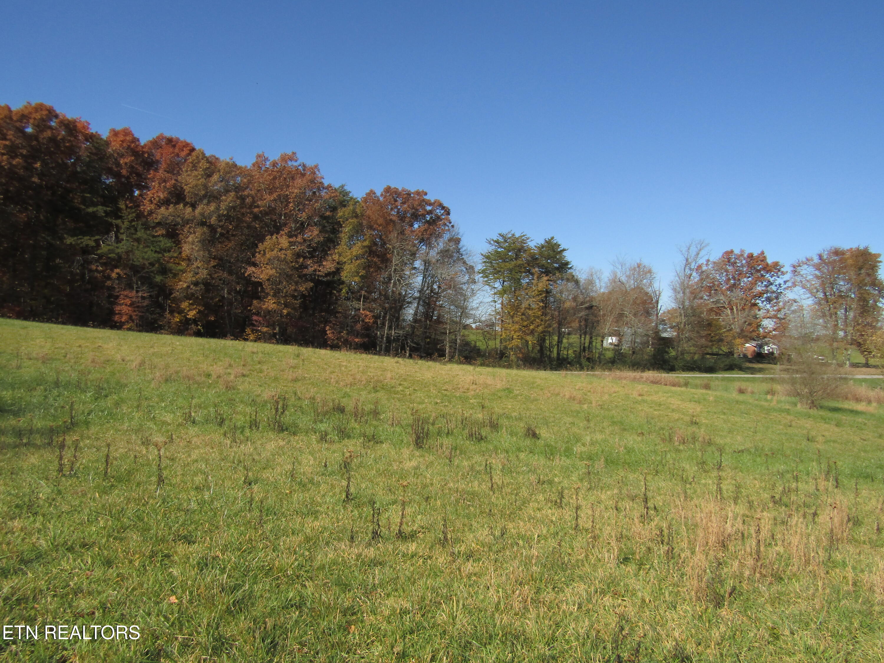 Lot 18 Hack Beaty Road Grimsley, TN 38565 - Photo 4 of 31 IMG_4790