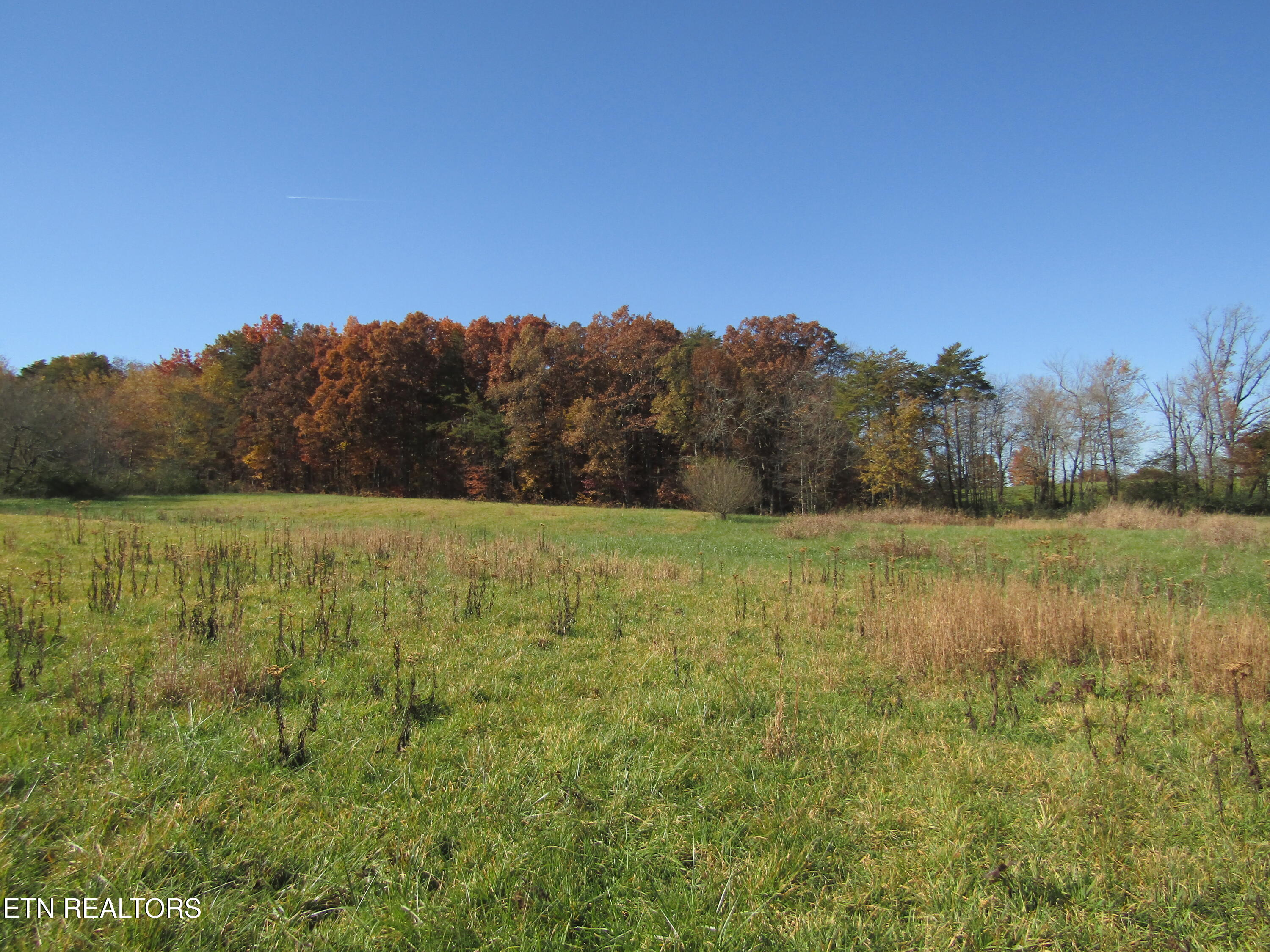 Lot 18 Hack Beaty Road Grimsley, TN 38565 - Photo 5 of 31 IMG_4794