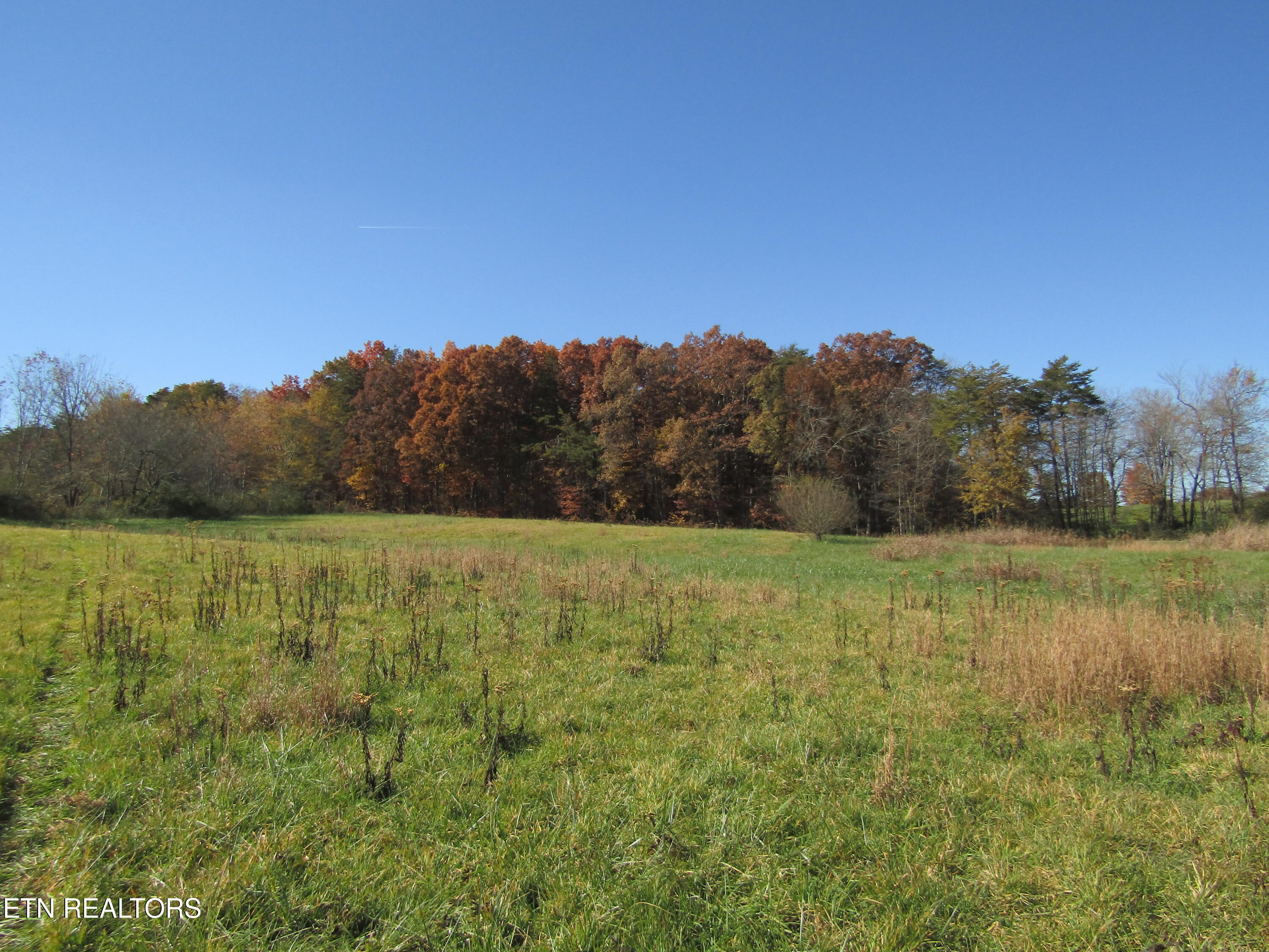 Lot 18 Hack Beaty Road Grimsley, TN 38565 - Photo 6 of 31 IMG_4795