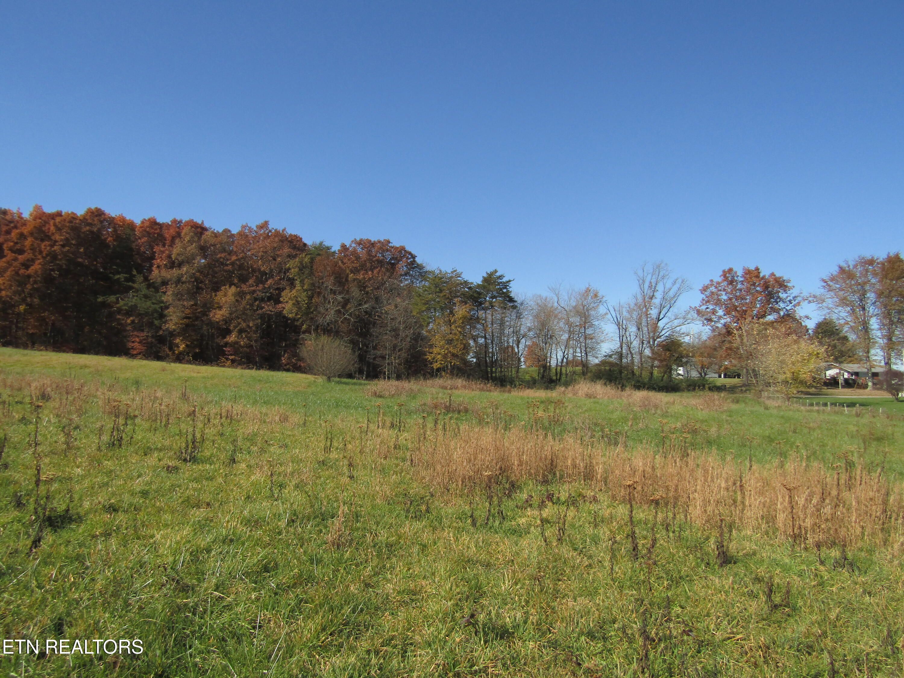Lot 18 Hack Beaty Road Grimsley, TN 38565 - Photo 7 of 31 IMG_4796