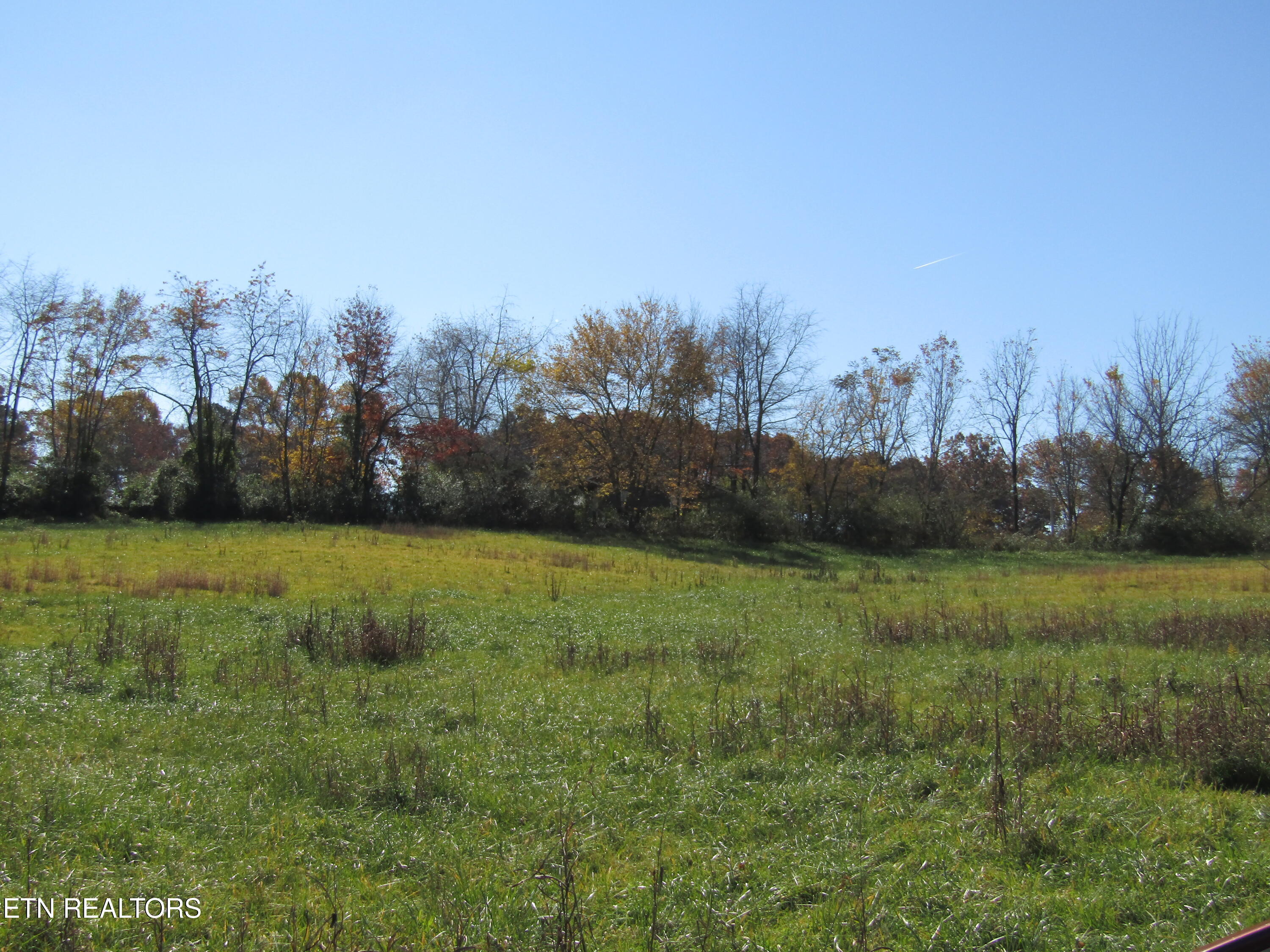 Lot 18 Hack Beaty Road Grimsley, TN 38565 - Photo 8 of 31 IMG_4801
