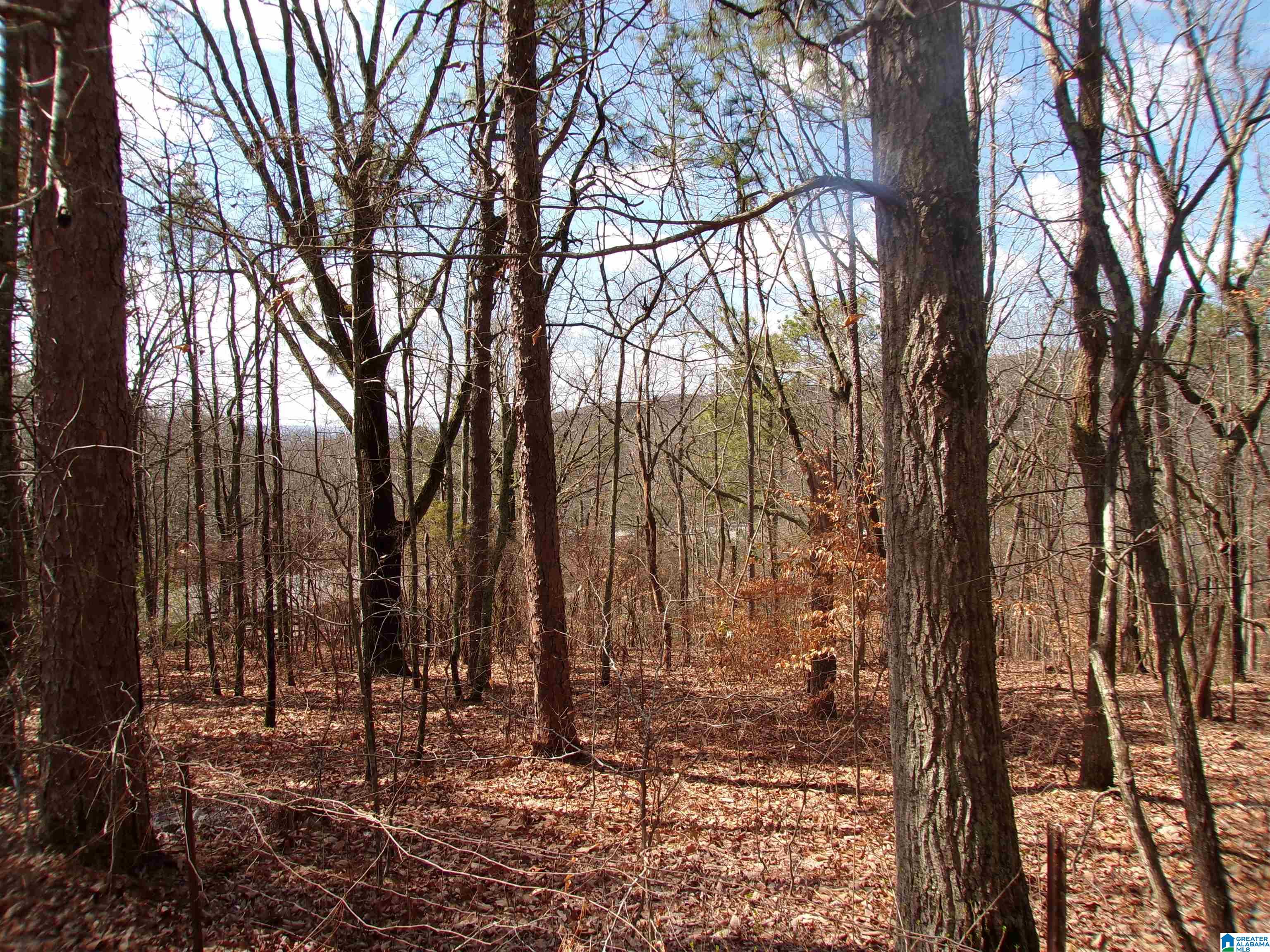 410 Stone Ridge Road Anniston, AL 36207 - Photo 69 of 74