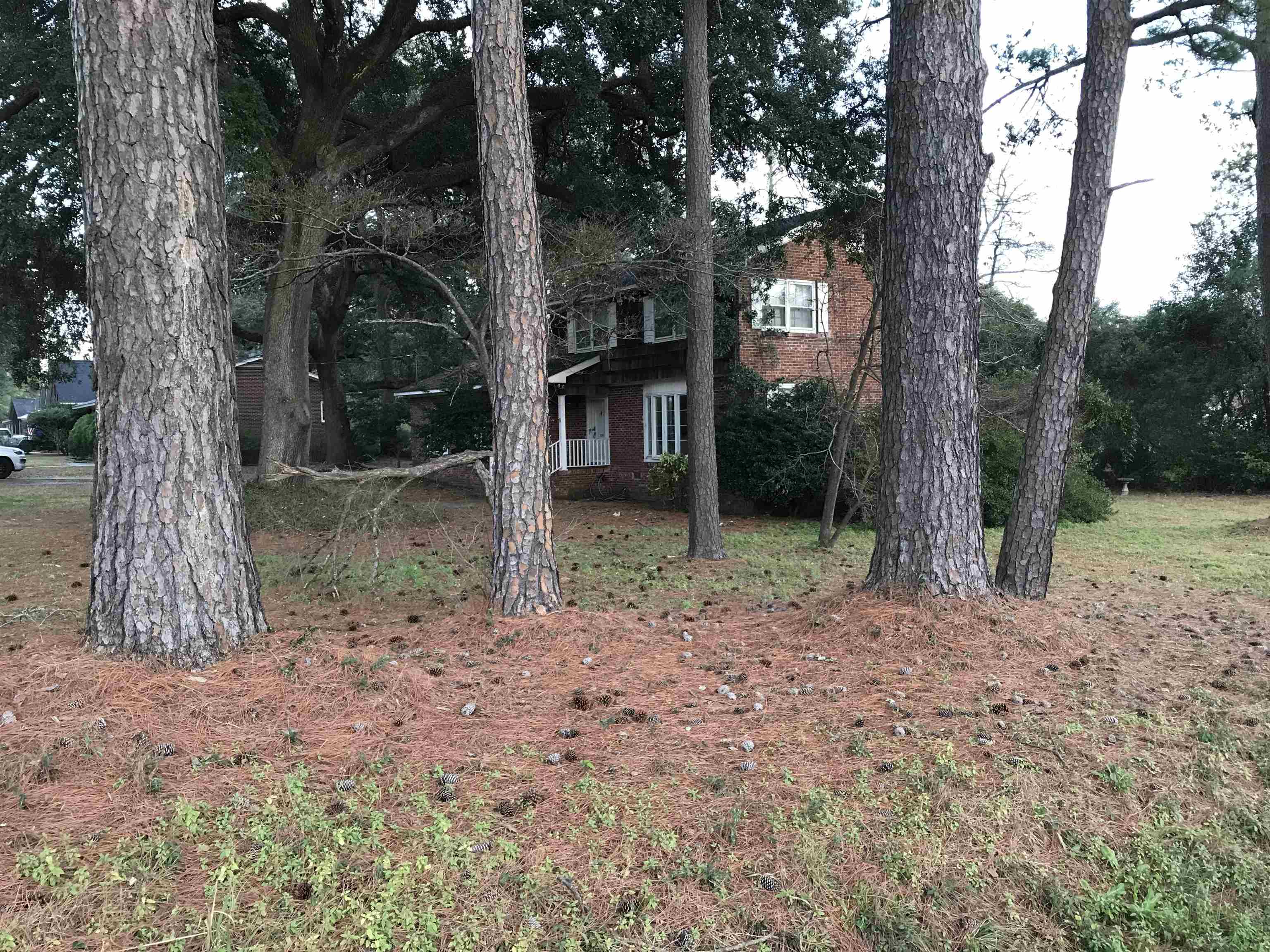 1201 Landgrave Street Georgetown, SC 29440 - Photo 6 of 38 View of yard